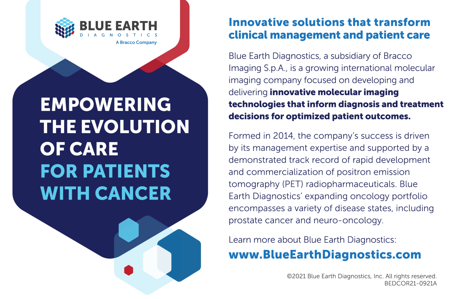 Blue Earth Diagnostics Bronze Sponsor of The Fifth Global Summit on