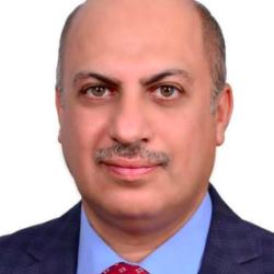 Screen-Shot-2024-05-30-at-2.27.09-PM-250x250